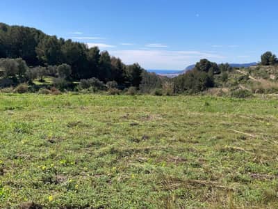 Property #HFF3101A 0