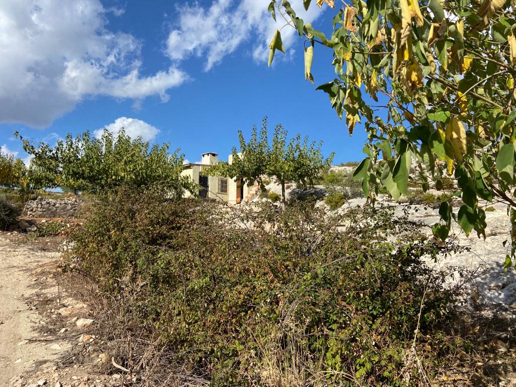 Se vende Terreno/Coto de Caza en Bocairente - 19