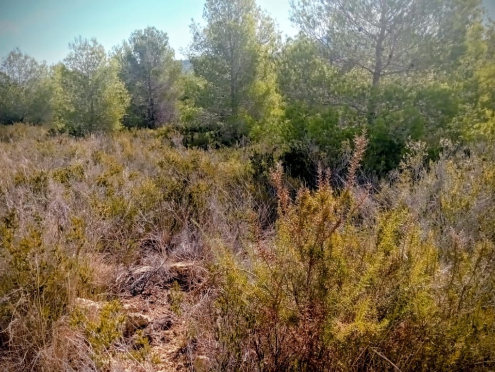 Se vende gran terreno rustico en Benitachell - 10