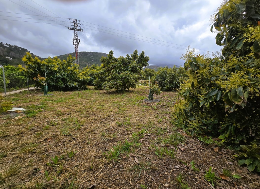 Property #RH20383 - 3