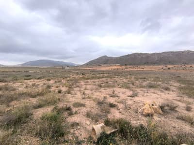 Property #TSR2408C - Image 3