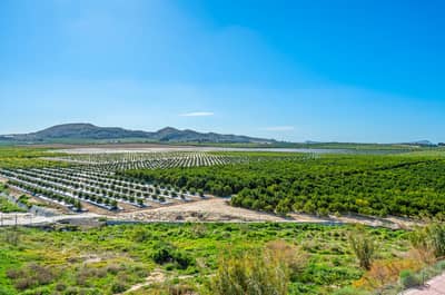 Property #TSR1971C - Image 3