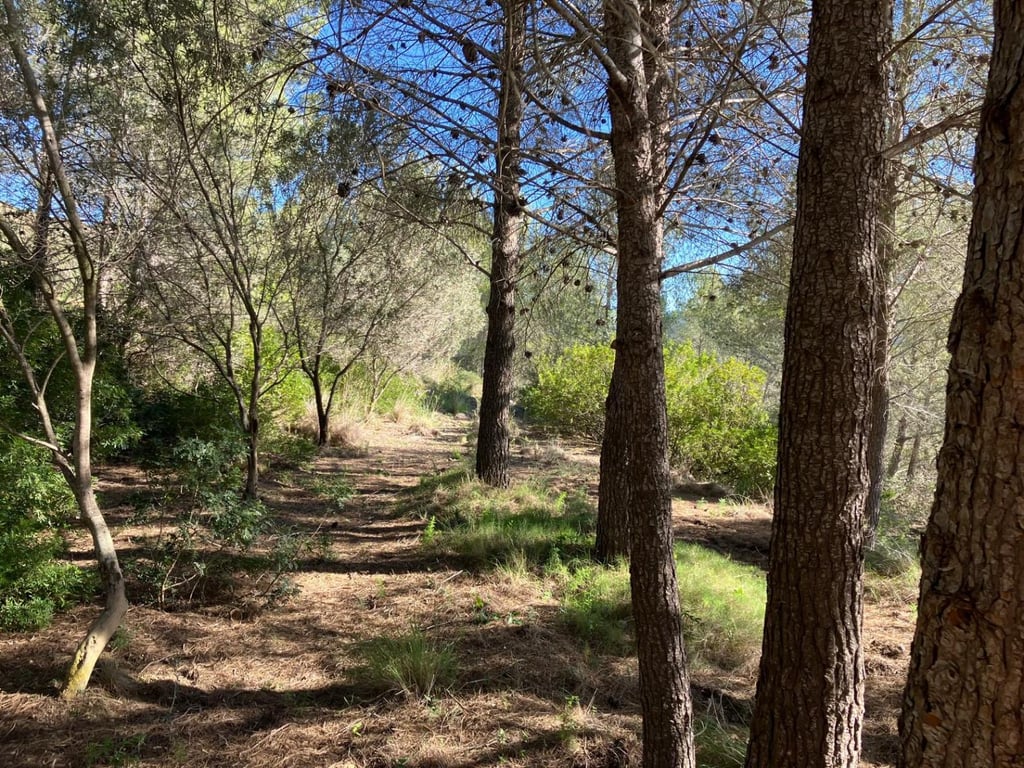 Casita de campo en Pedreguer - 12