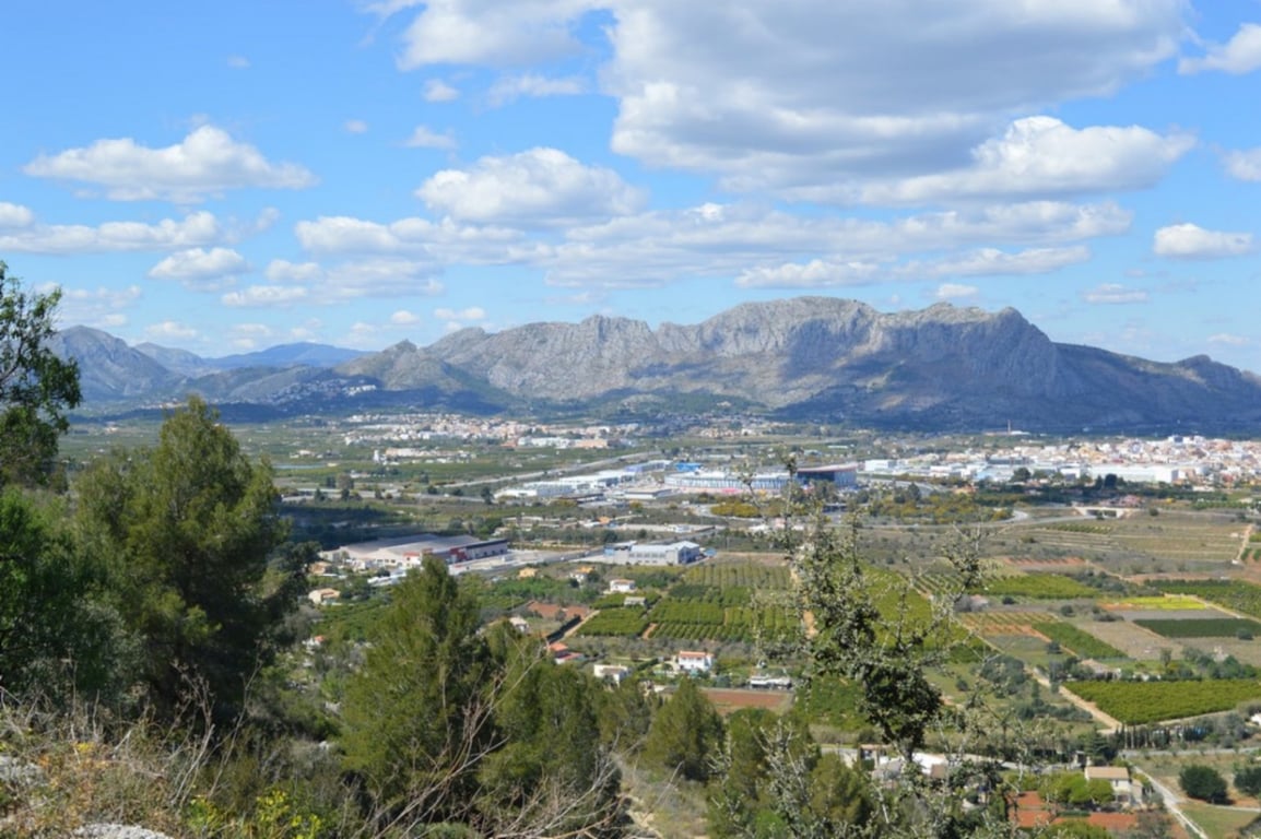 Venta. Parcela en Pedreguer