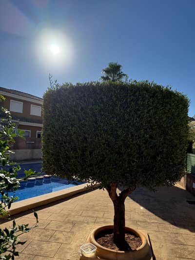 Property #TSR1555C - Image 3