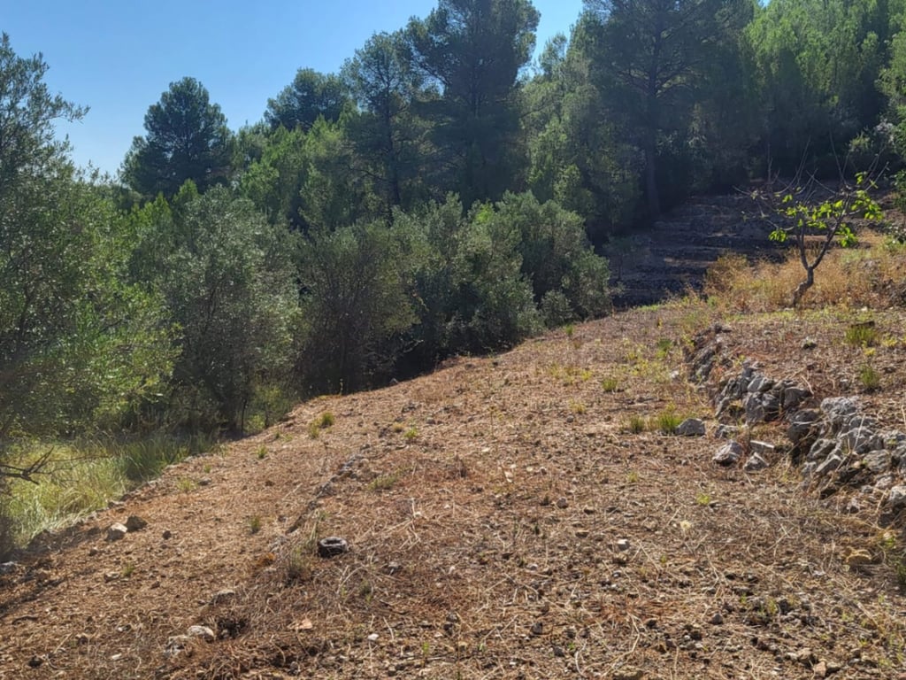 Atractiva parcela de 15.000m2 en venta con Luz y Pozo de agua natural - 5