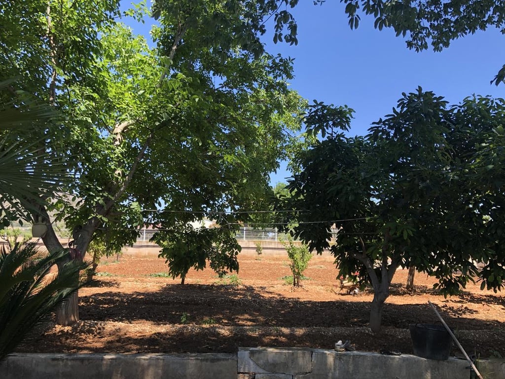 Ondara. Casa de campo amplia con piscina en venta - 18