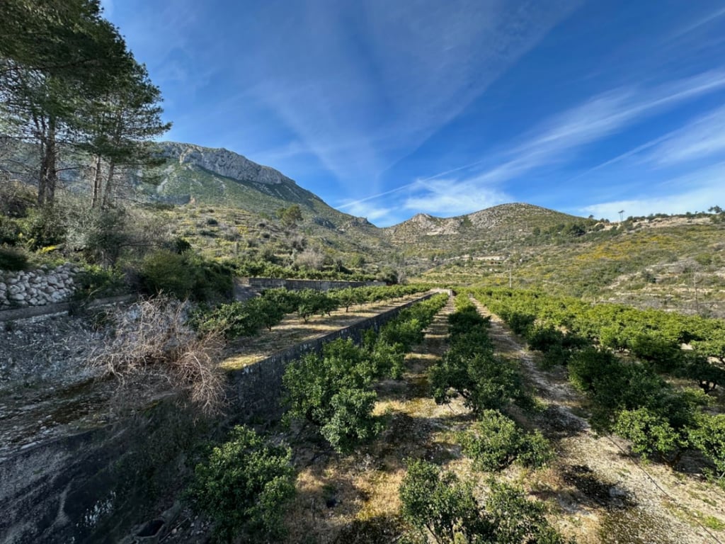 Gran Finca de Naranjos con Vistas al Mar y Posibilidad de Vivienda - 4