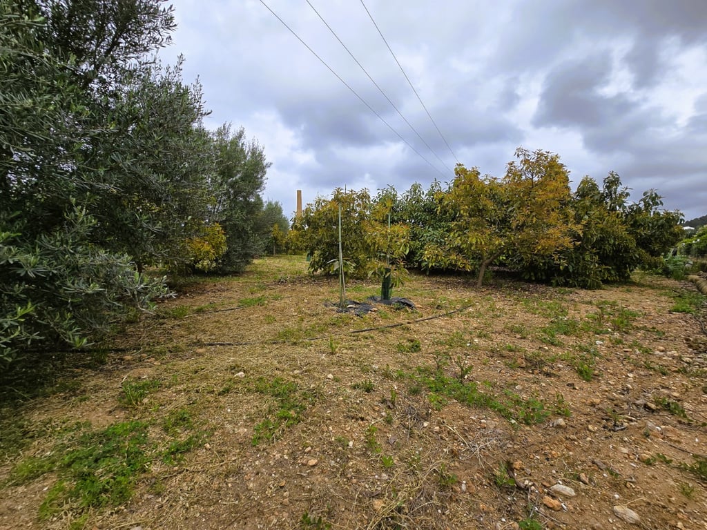 Property #RH20383 - 4