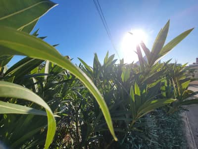 Property #TSR1594C - Image 3