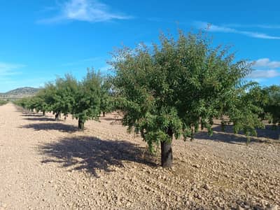 Property #TSR2919C - Image 5