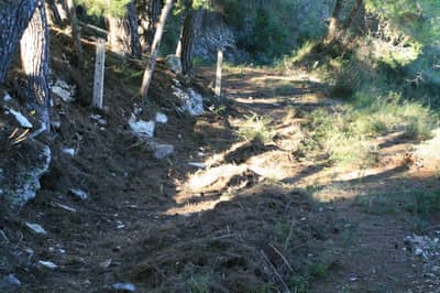 Property #AD 247 - Image 5