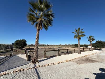 Property #TSR2371C - Image 3