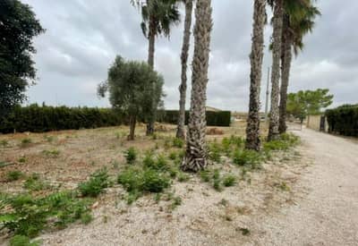 Property #TSR2140C - Image 2