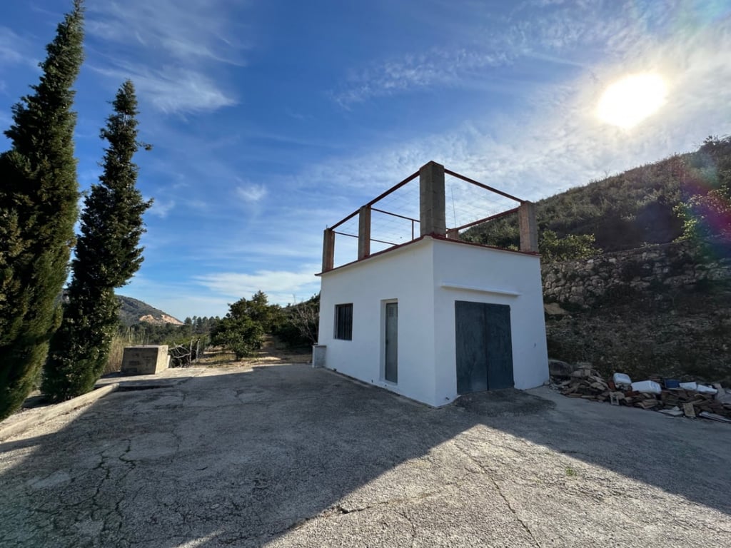 Gran Finca de Naranjos con Vistas al Mar y Posibilidad de Vivienda - 7