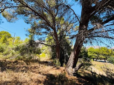 Property #TSR1536C - Image 5