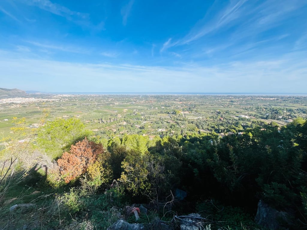 Villa in Pedreguer photo 4