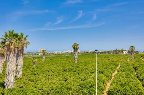 Rijwoning met 3 slaapkamers in Torrevieja — foto 38