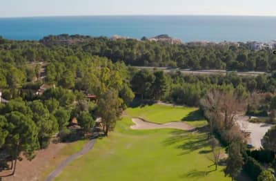 Property #TSR3317C - Image 4