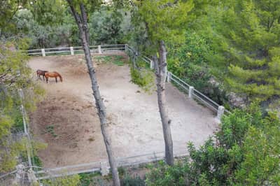 Property #TSR1533C - Image 4