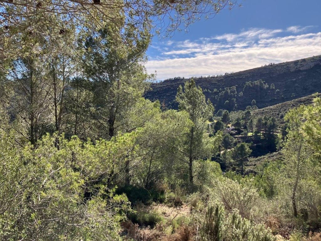 Casita de campo en Pedreguer - 13