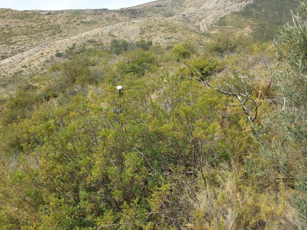 Se vende parcela en pedreguer con licencia de construccion - 21