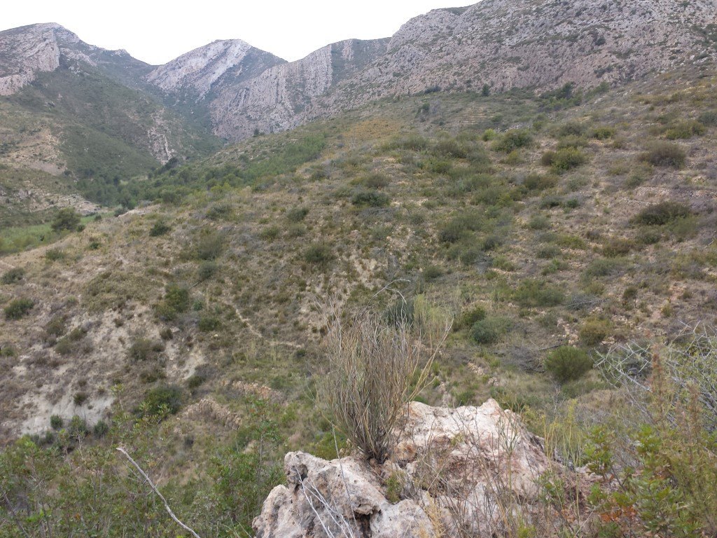 Se vende parcela en pedreguer con licencia de construccion - 14