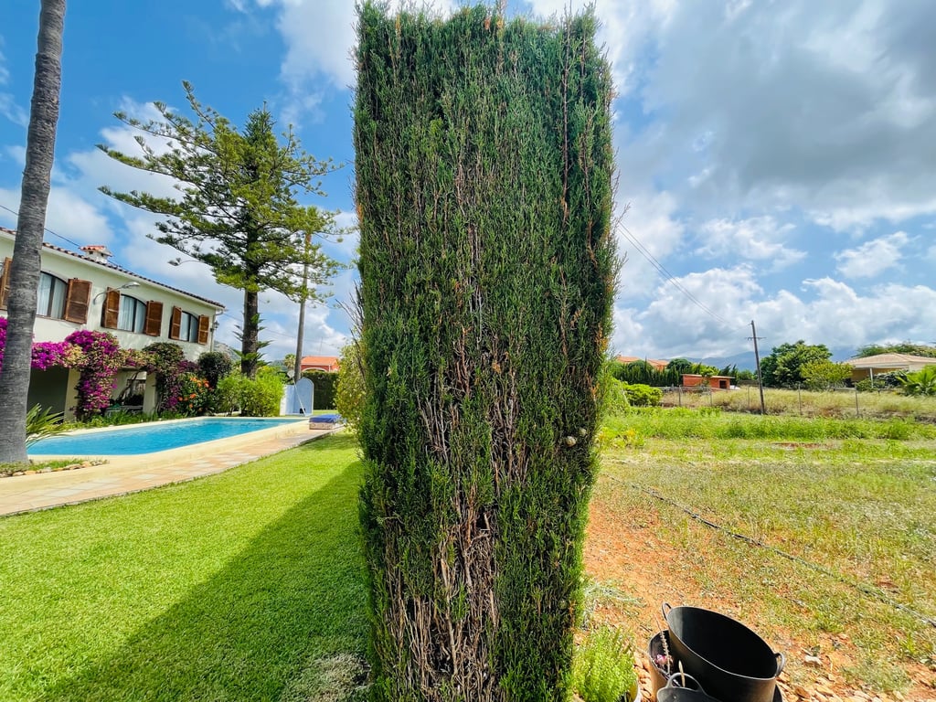 Pedreguer. Casa de campo amplio con piscina en venta - 60