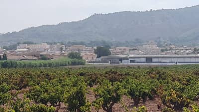 Property #TSR3421C - Image 3