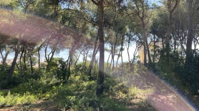 Property #TRA5217 - Image 3