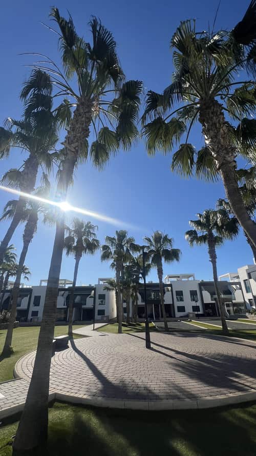 Appartement met 2 slaapkamers in La Zenia — foto 7
