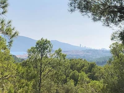 Property #TRA5239 - Image 2