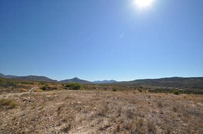 Property #TSR3461C - Image 3