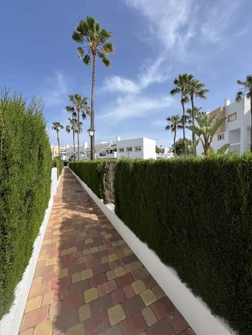 Appartement met 3 slaapkamers in Orihuela Costa — foto 20