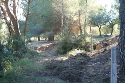 Property #AD 247