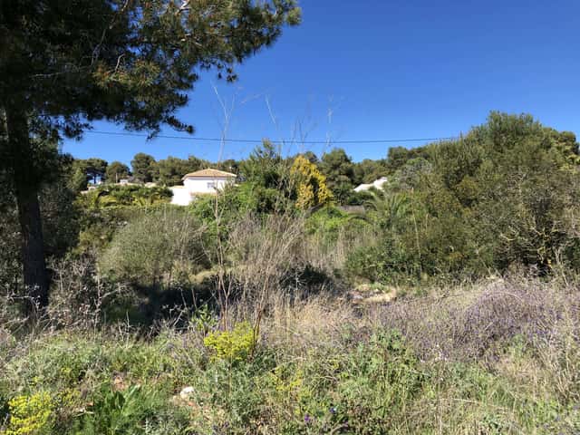 Parcela en Jávea