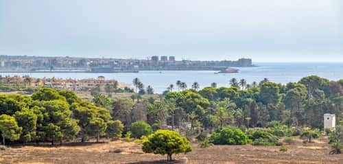 Volledig gerenoveerd penthouse met zeezicht in Punta Prima — foto 25