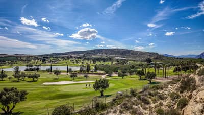 Property #TSR2791C - Image 3