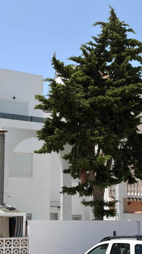 Rijwoning met 3 slaapkamers in Torrevieja — foto 7