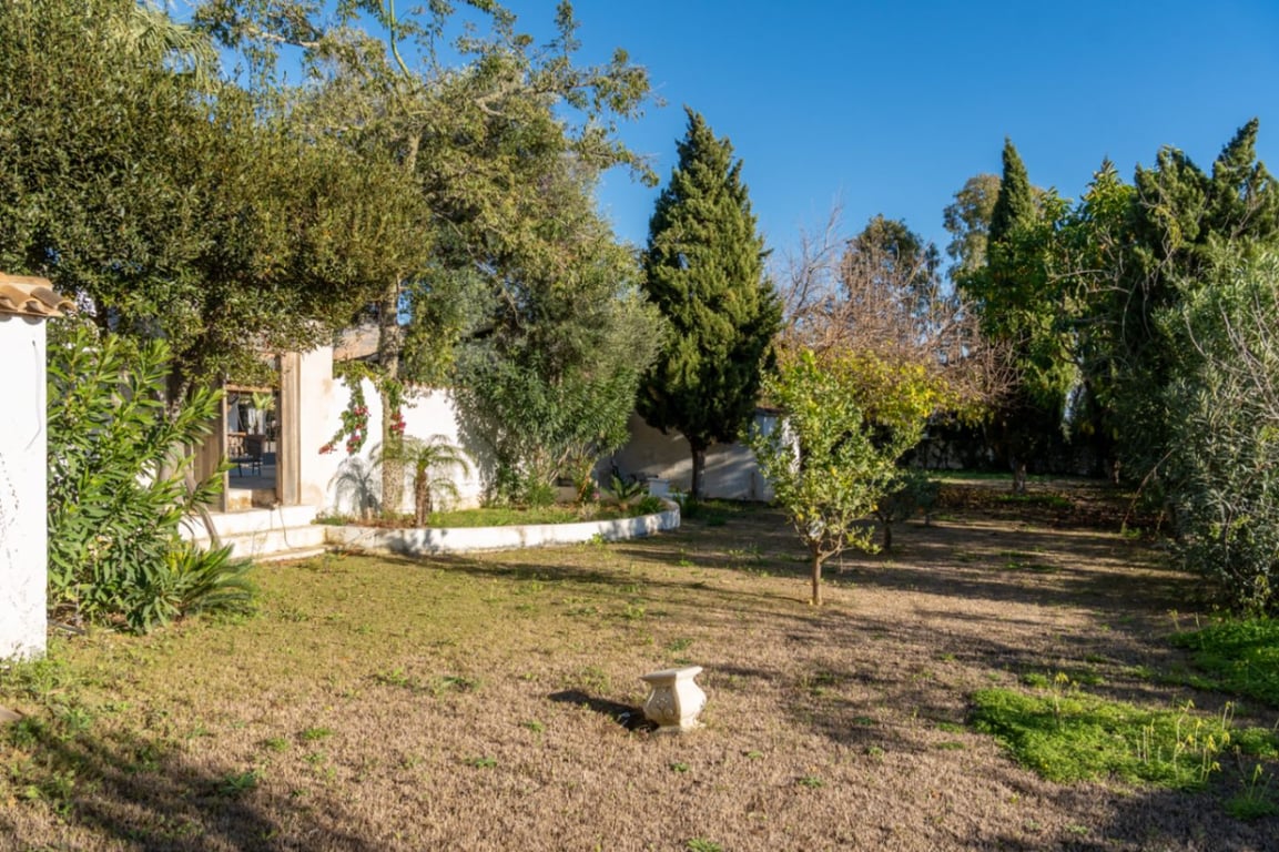 Exclusiva finca completamente reformada con gran parcela de 11.367 m2 - 44