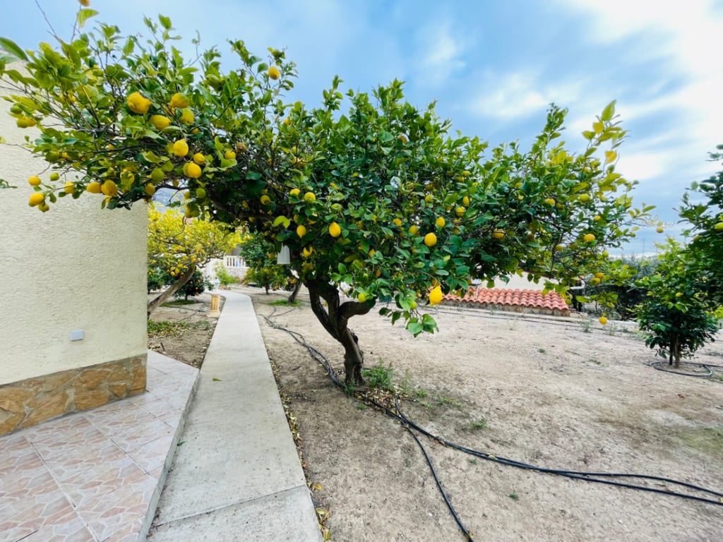 Altea La Vella. Casa de campo grande con casa de invitados en venta - 46