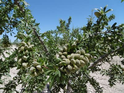 Property #TSR3179C - Image 5