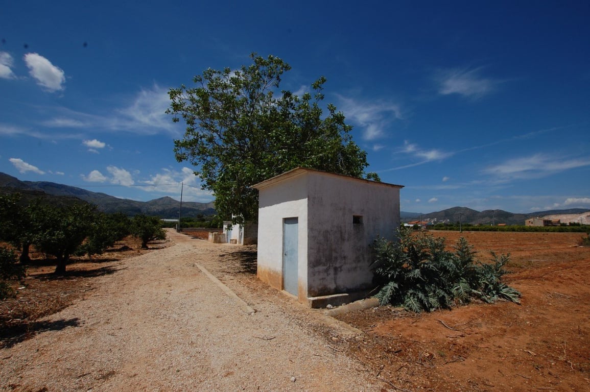 Terreny rústic de 22.000 metres quadrats a Pego - 9