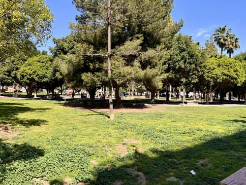 Appartement met 3 slaapkamers in Torrevieja — foto 28