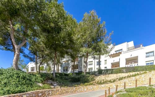 Penthouse met 2 slaapkamers in Orihuela Costa — foto 29