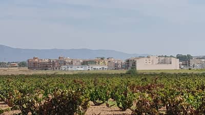 Property #TSR3421C - Image 5