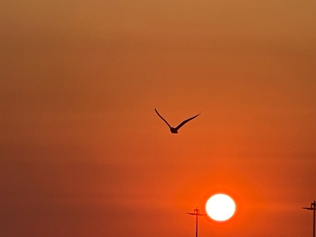 Property #RH21130 - 6