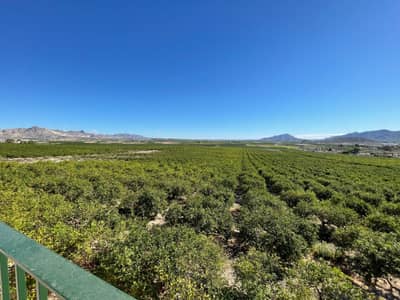 Property #TSR3358C - Image 3