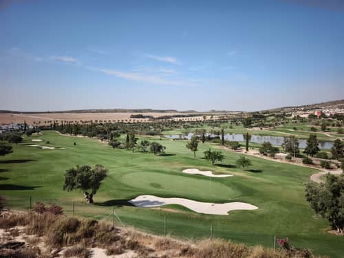 Villa met 3 slaapkamers in Algorfa — foto 30