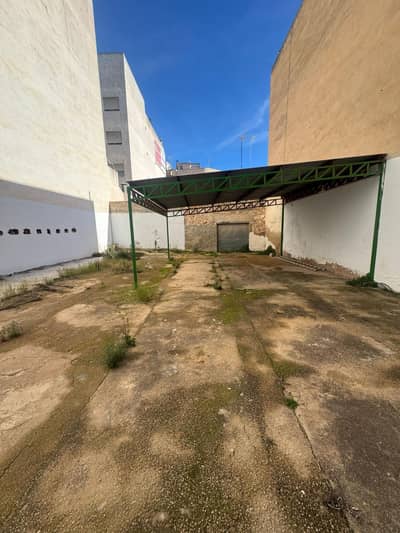 Property #TSR1907C - Image 4